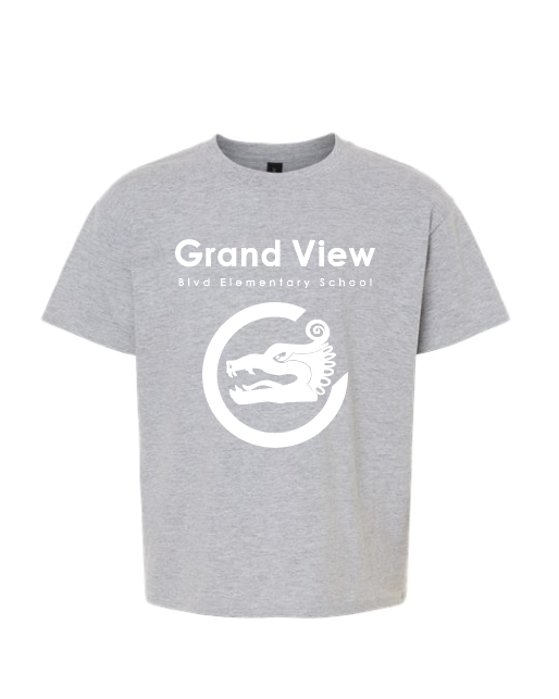 GV Dragon T-Shirt Sport Grey (Youth)